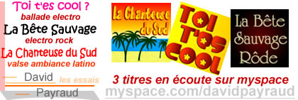 compositions musique, 3 titres sur myspace.com/davidpayraud